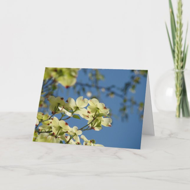 Carte L'arbre de cornouiller fleurit le ciel bleu de (Devant)