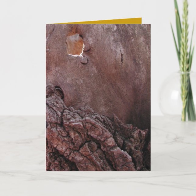 Carte Larmes en bois (Devant)