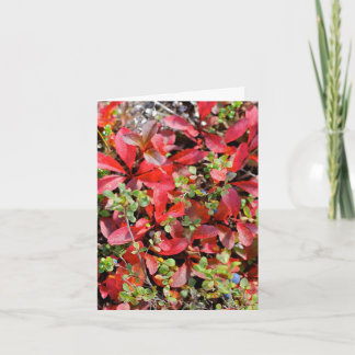 Carte Late Summer in Alaska - 4" x 5.6" Notecard