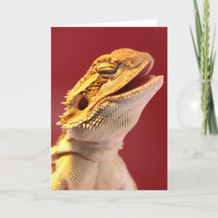 Carte Laughing Bearded Dragon
