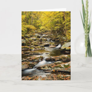 Carte L'automne à Big Creek