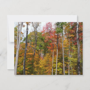 Carte L'automne dans la forêt Photographie d'automne col