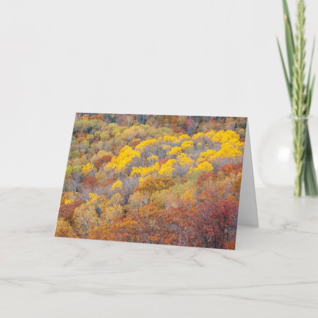 Carte L'automne dans le Michigan (Devant)