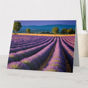 Carte Lavande Nature Extérieur Paysage Calme Tranquille