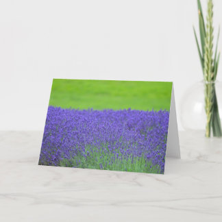Carte Lavender
