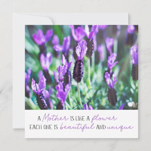 Carte Lavender champ fleuri mères jour fleurs violettes (Devant)