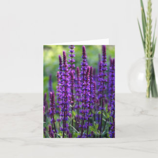 Carte Lavender Flowers