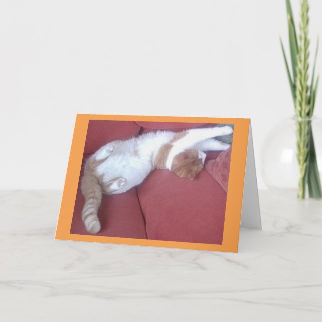 Carte Lazy Cats 2 Photo Grey Card - Cat Naps (Devant)