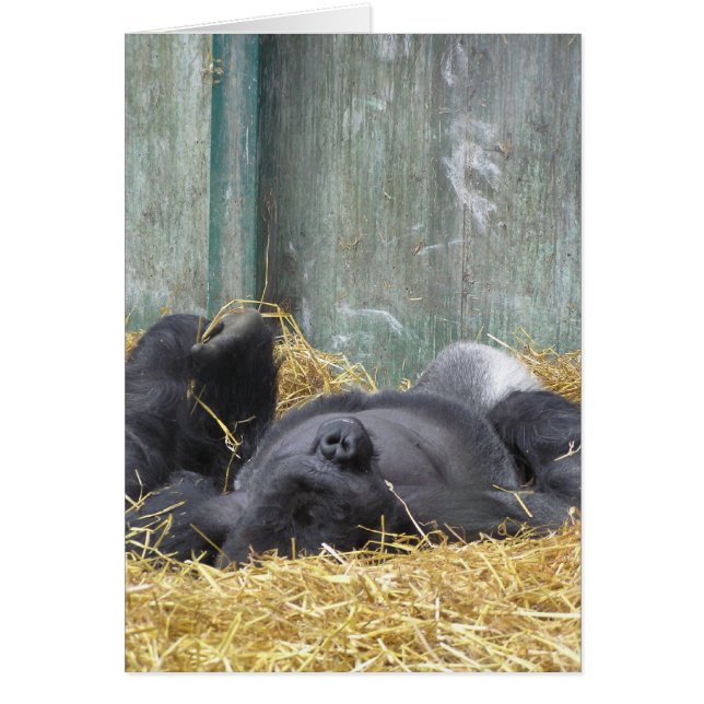 Carte Lazy Gorilla (Devant)