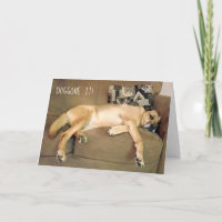 Lazy Hound Dog sur canapé
