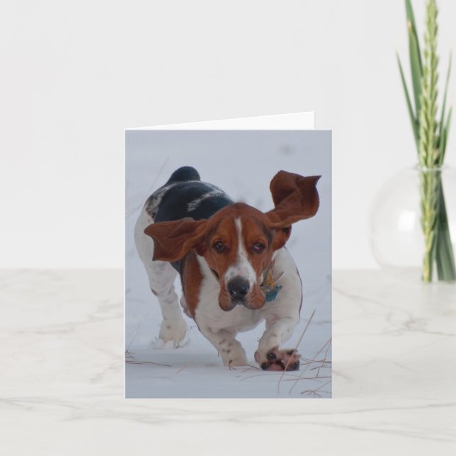 Carte Le basset jeûnent (Devant)