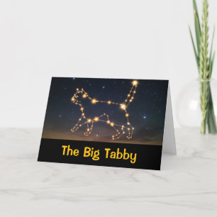 Carte Le Big Tabby