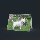 Carte Le birman de l'amour<br><div class="desc">Woofy Birthday to you Woofy Birthday to you Woofy Birthday dear friend Woffy Birthday to you</div>