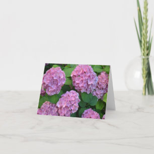 Carte Le buisson d'hortensia rose Hydrangea 