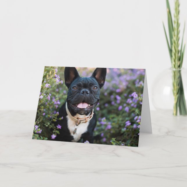 Carte Le Bulldog français en fleurs (Devant)