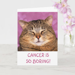 Carte Le cancer est ennuyeux drôle chatte