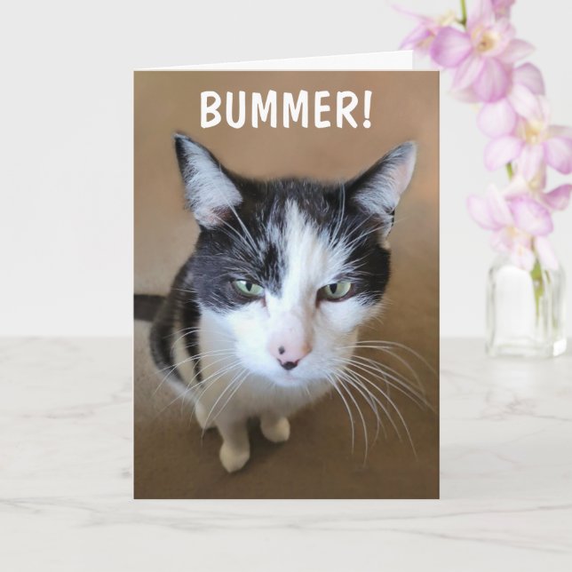 Carte Le cancer est un fléau (Orchidée)