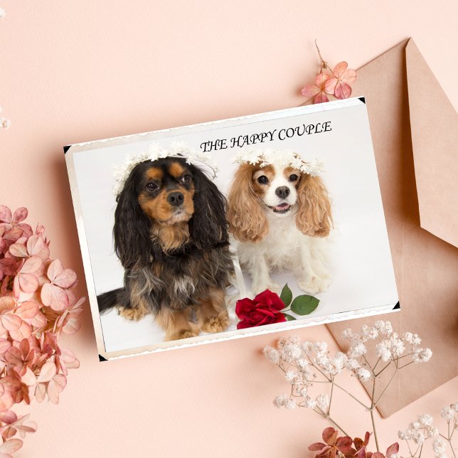 Carte Le Cavalier King Charles Spaniel des Nouveaux Mari (Créateur téléchargé)