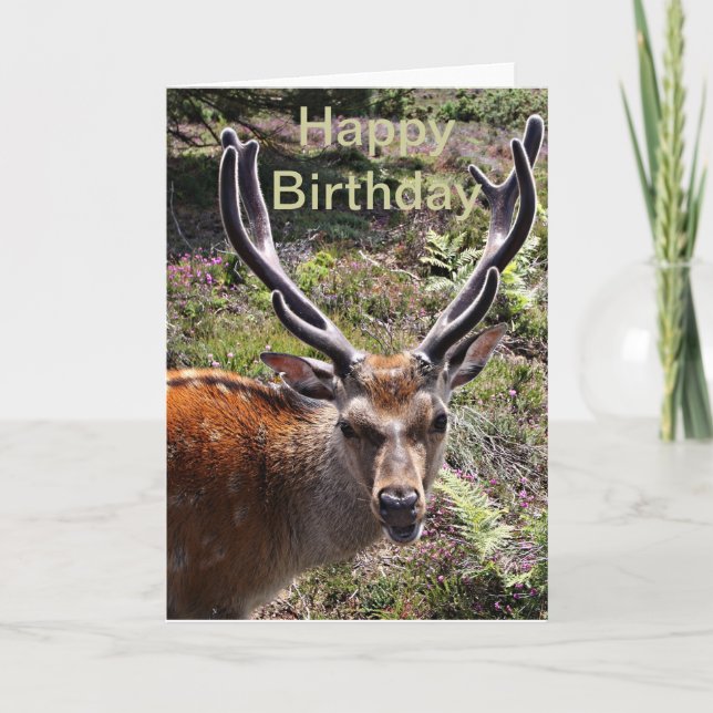 Carte Le cerf d'anniversaire (Devant)