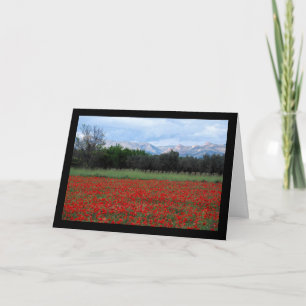 Carte Le champ de coquelicots