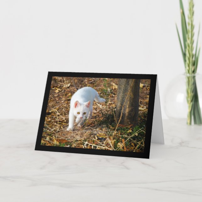 Carte Le Chasseur Blanc (Devant)