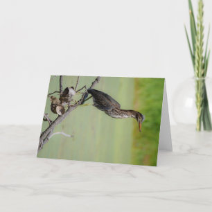 Carte Le chasseur vert : un héron vert sur la montre
