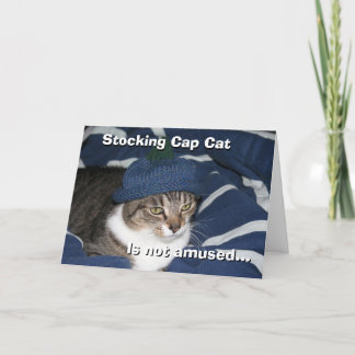 Carte Le chat au bonnet de bonhomme n'est pas amusé