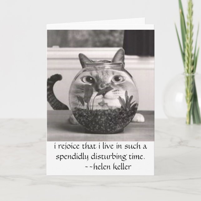 Carte le chat aux poissons roulent, je se réjouissent (Devant)