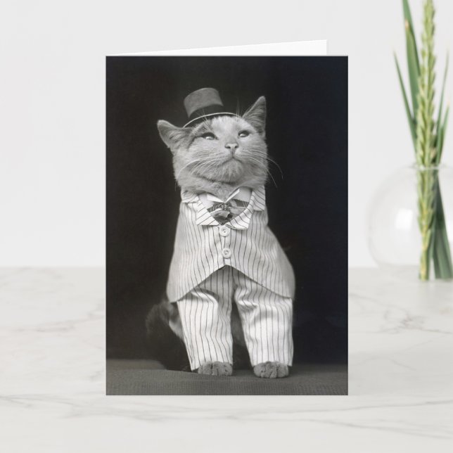 Carte Le chat Dapper, 1906 (Devant)