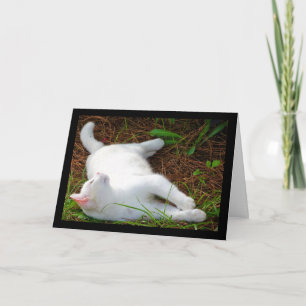 Carte Le Chat et la mouche