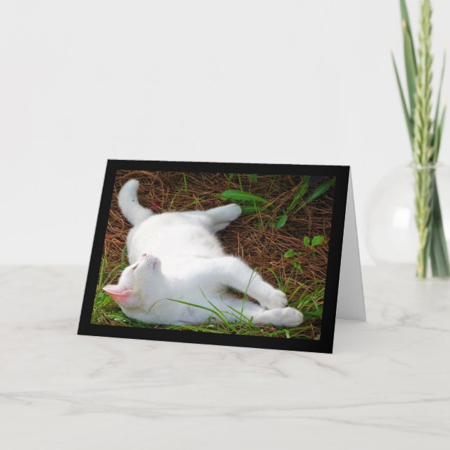 Carte Le Chat et la mouche (Devant)