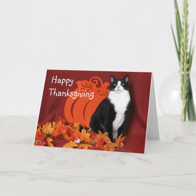 Carte Le chat noir et blanc dit Bon thanksgiving (Devant)