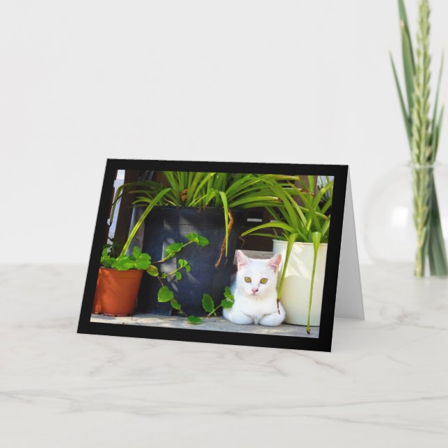 Carte Le Chat Parmi les Plantes (Devant)