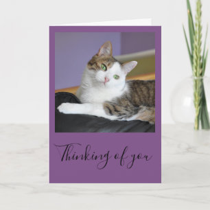 Carte Le chat tigré pensant à vous cardent