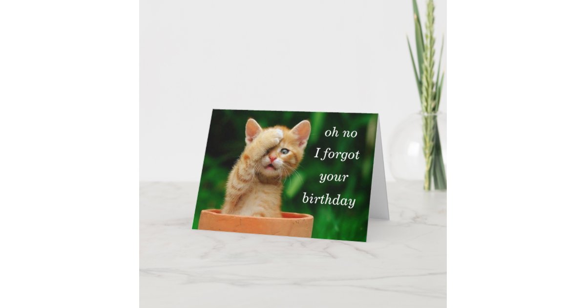 Carte Le Chaton A Oublie L Anniversaire Zazzle Fr