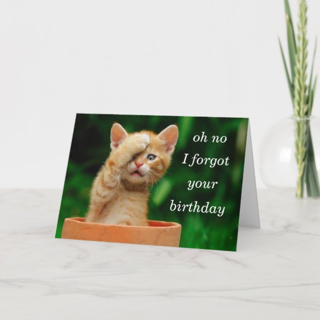Carte le chaton a oublié l'anniversaire (Devant)