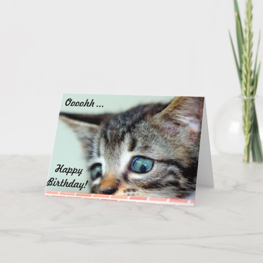 Carte Le Chaton Mignon Indique Le Joyeux Anniversaire Zazzle Fr