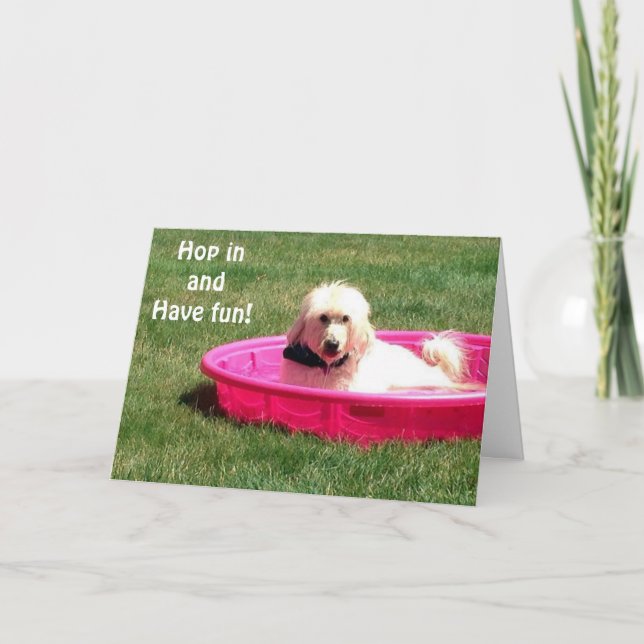 CARTE LE CHIEN DANS LA PISCINE DIT SAUTER ET PROFITER DE (Devant)