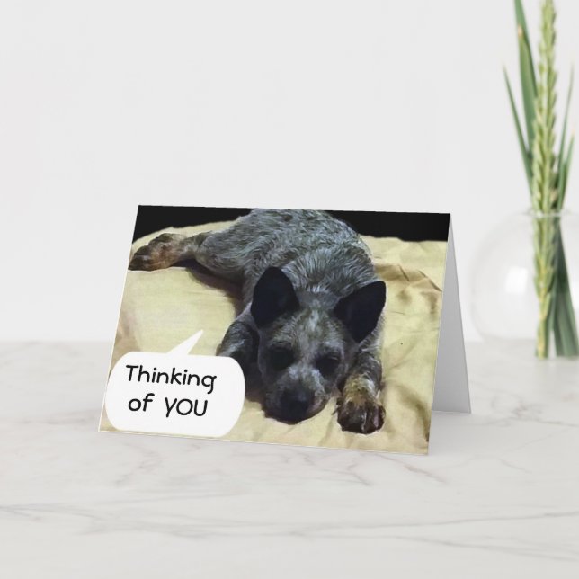 CARTE LE CHIEN DE CHIEN DE CHIEN DE CHAUSSURES EST LONGT (Devant)