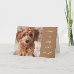 CARTE LE CHIEN EST DEVENU SÉRIEUX À PROPOS DE VOTRE DÉPA