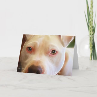 Carte Le chiot de Pitbull observe la photographie d'art