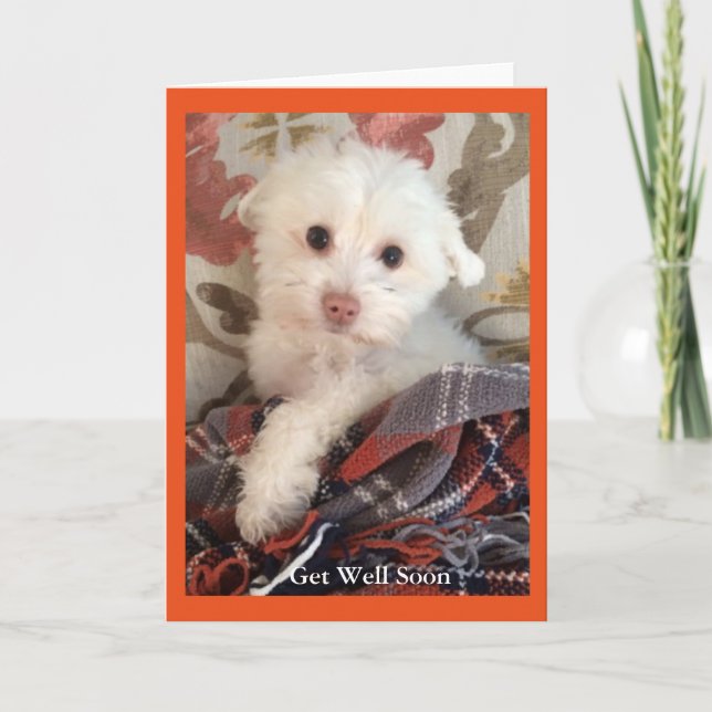 Carte Le chiot doux enveloppé dans une couverture (Devant)