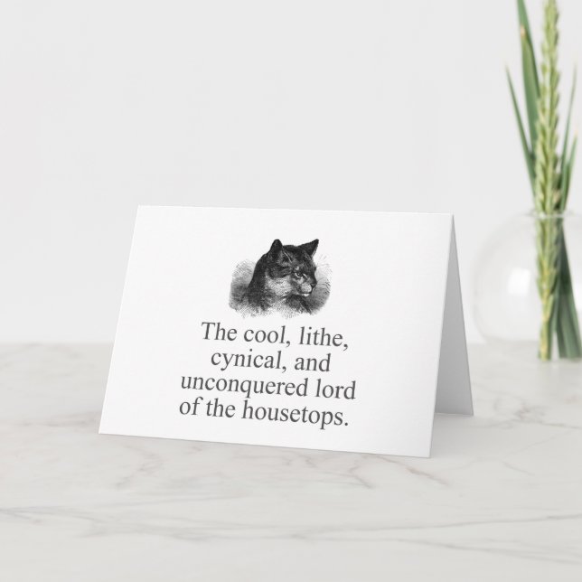 Carte Le Cool Lithe Cynical (Devant)