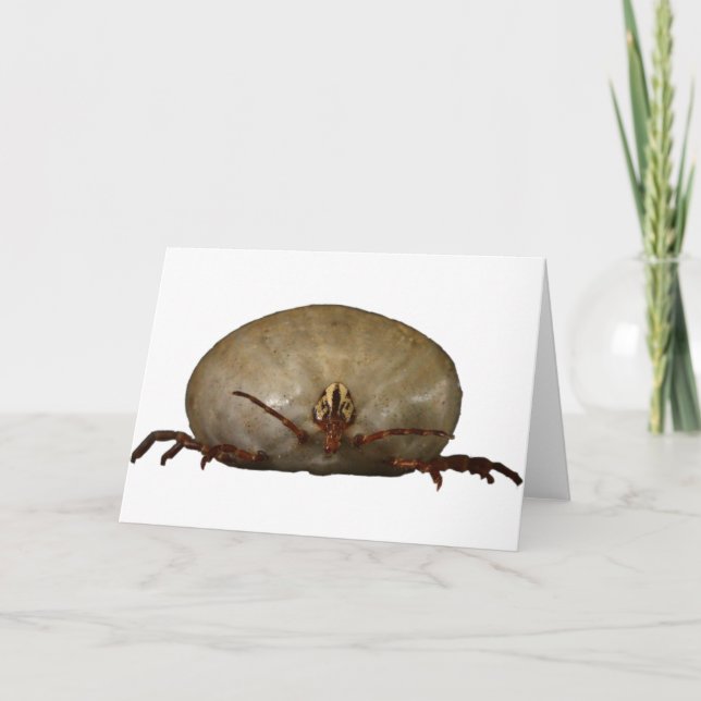 Carte Le coutil (Devant)