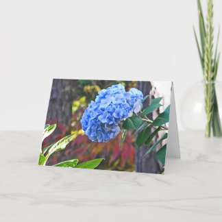 Carte Le DA l'hortensia bleu pensant à vous cardent