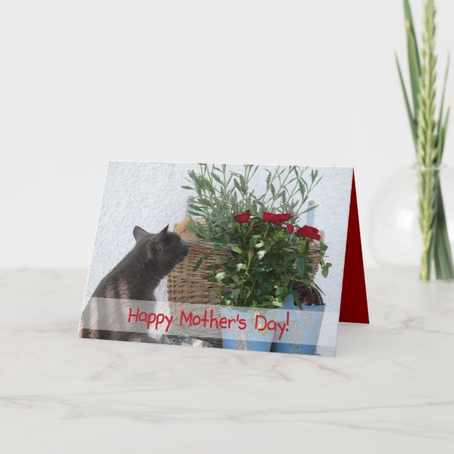 Carte Le Day de Cat et Roses Happy Mother ! (Devant)