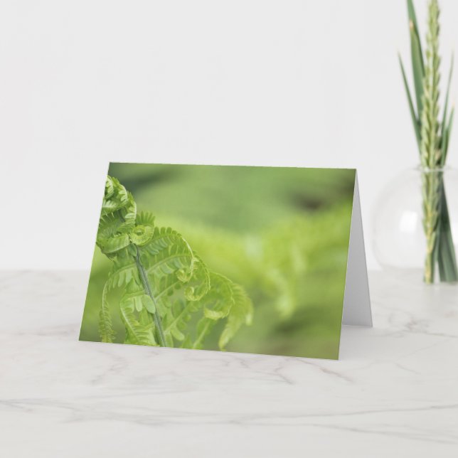 Carte Le feuille de bordage de fougère, verdure, a (Devant)
