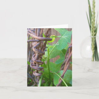 Carte Le fil Barbed de papa