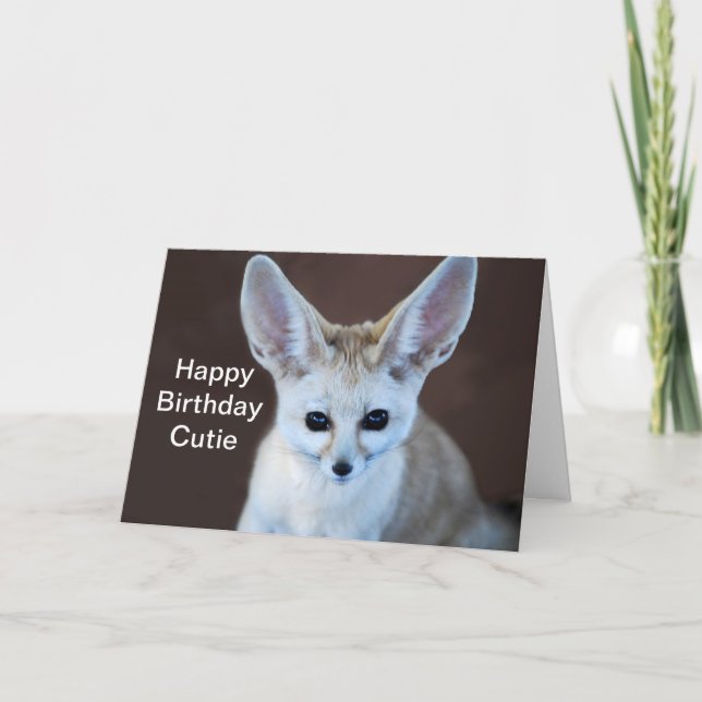 Carte Le Fox de Fennec le plus mignon des mondes (Devant)