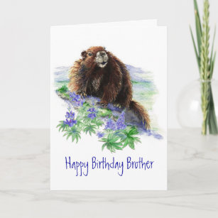 Cartes Marmotte D Anniversaire Zazzle Fr